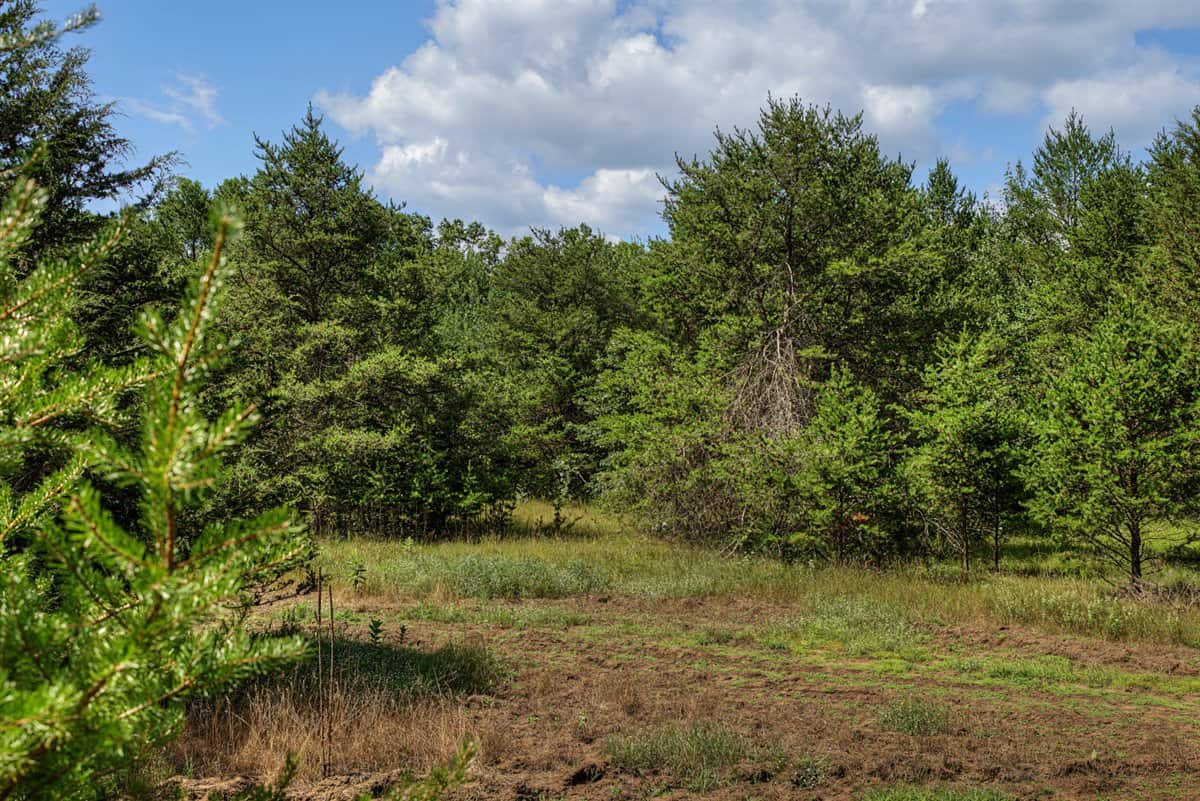117± Acres of Irrigated Farmland and Trophy Whitetail Habitat — Adams County, Wisconsin