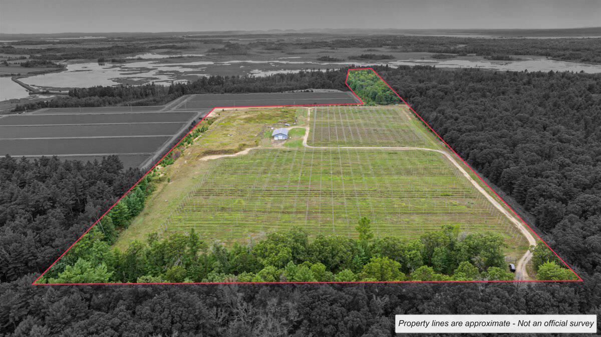 34.5± acre high-ground property in the Town of Bear Bluff