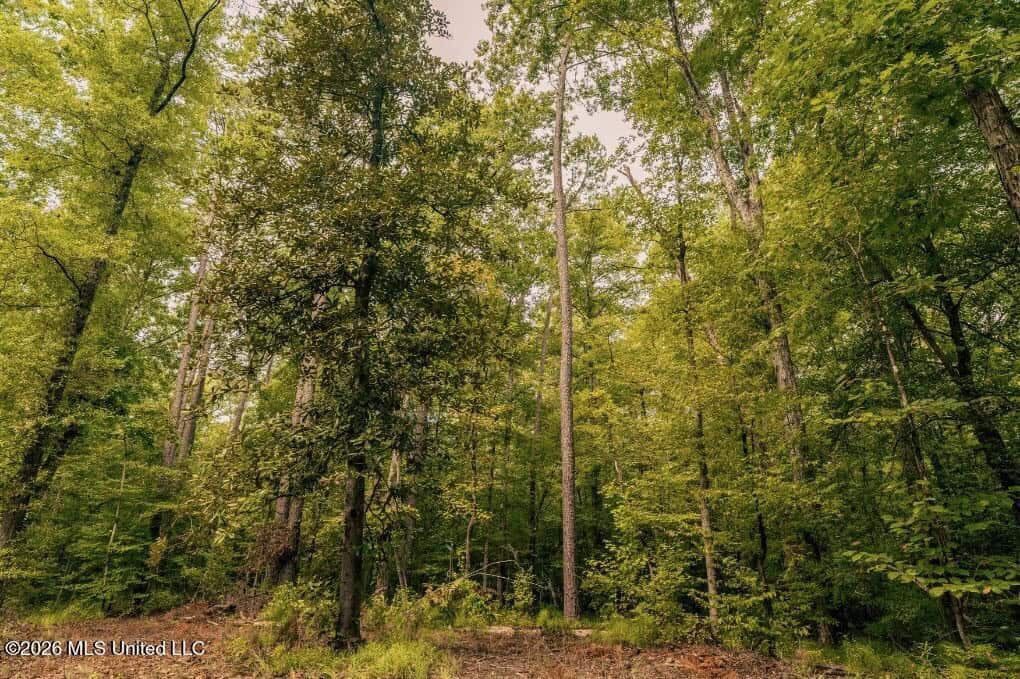 58± Acre Hunting Property in Franklin County, MS