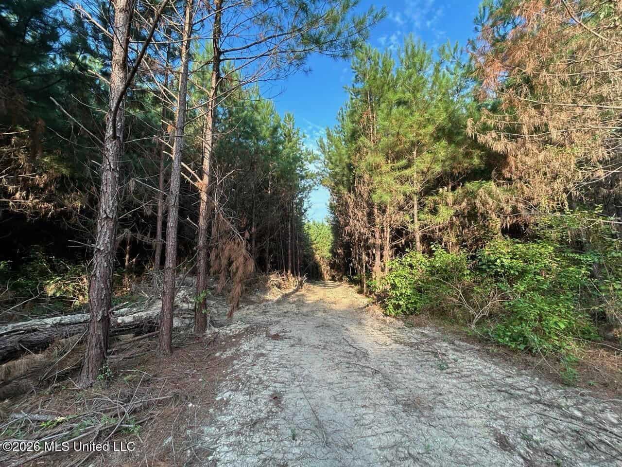 80± Acre Riverfront Hunting Land Near Meadville, MS
