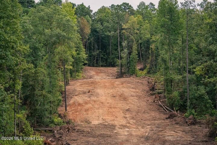 36± Acre Hunting Property Near Bude, MS