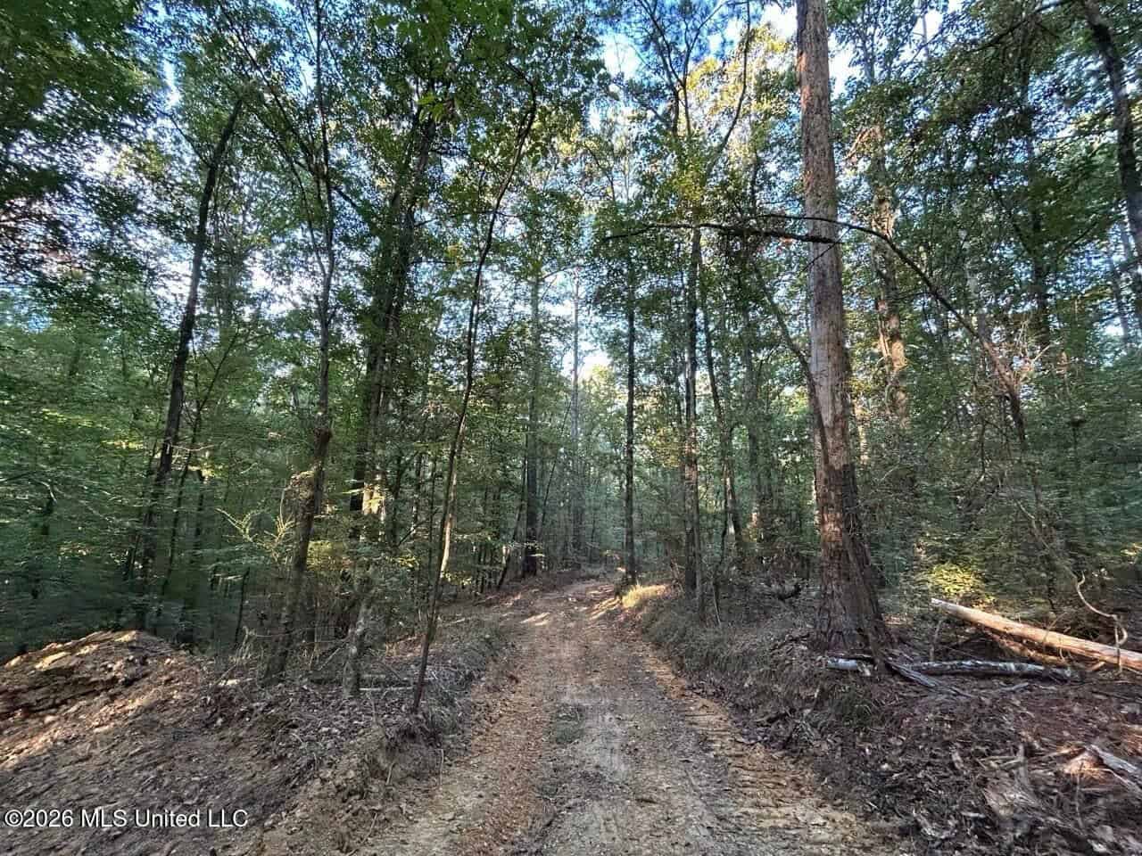 210+/- Acres and Cabin in Franklin County, MS