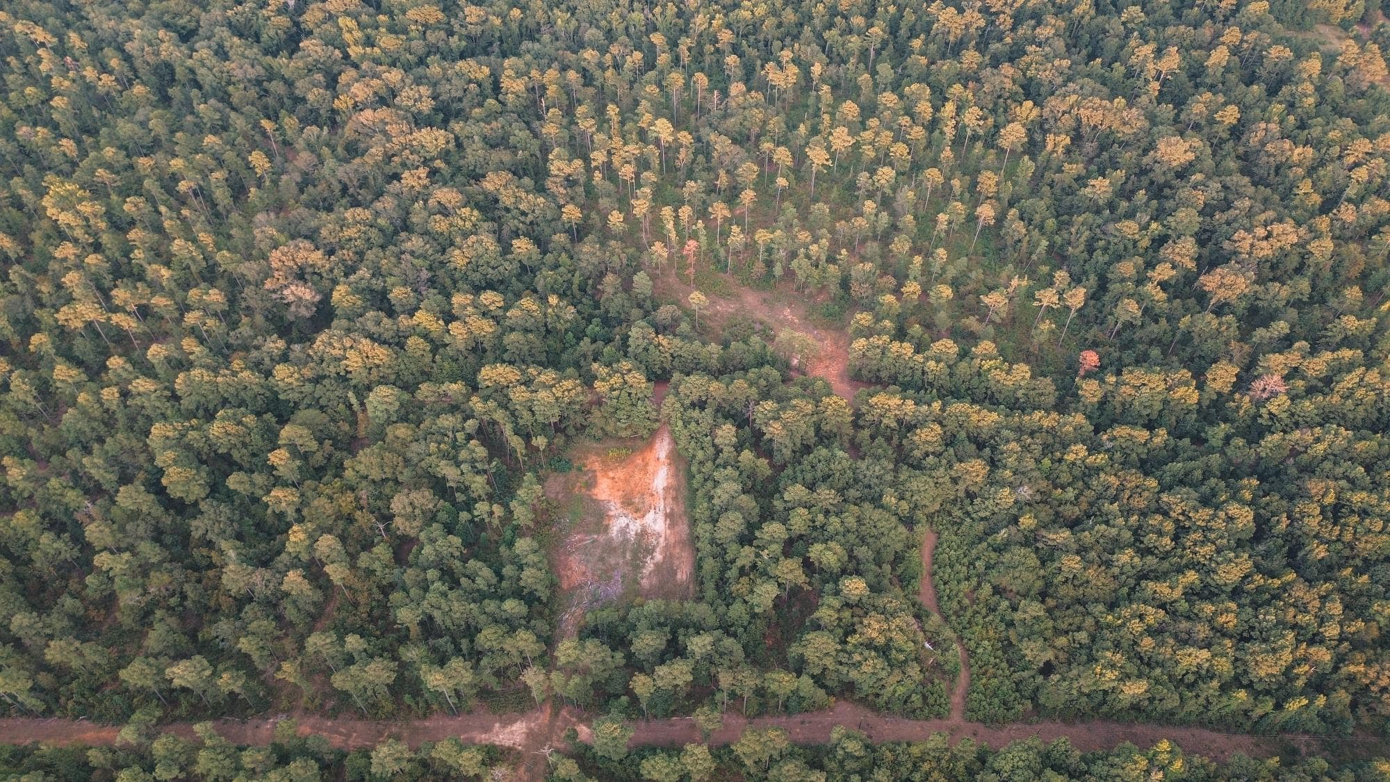 Affordable Union Parish Land for Sale