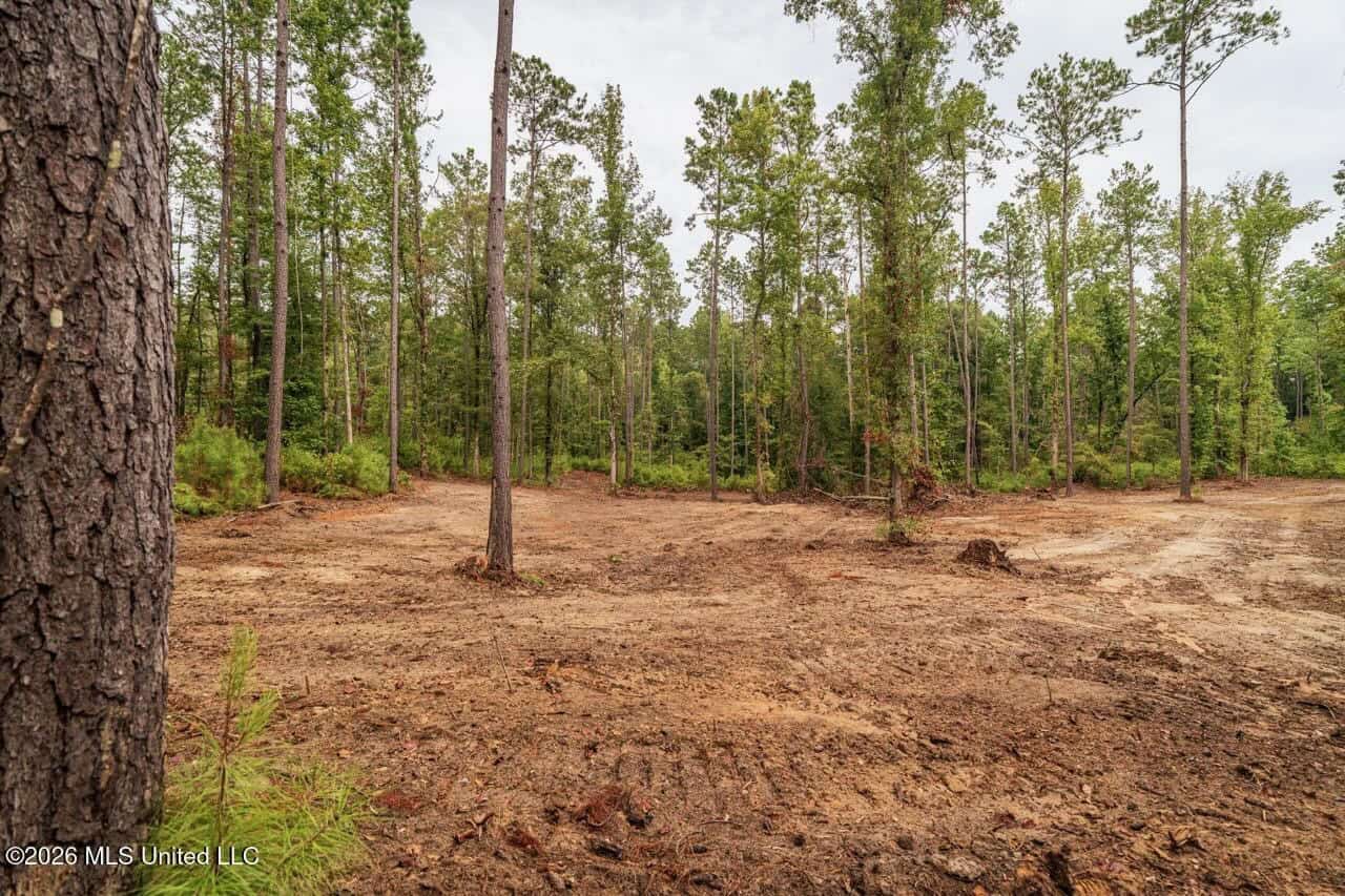 13± Acres by Homochitto National Forest Near Meadville, MS