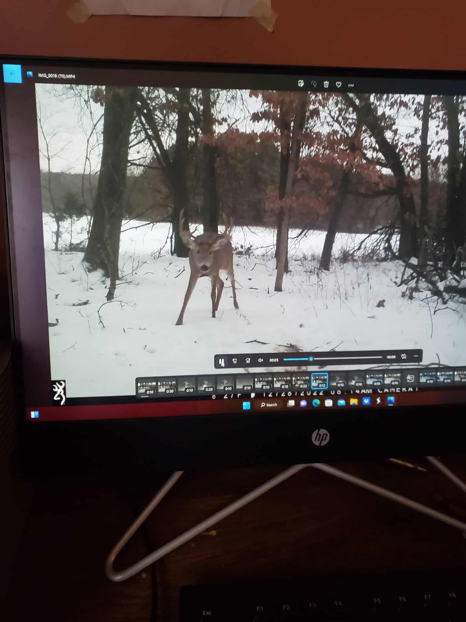 52 Acres of Trophy Whitetail Deer Hunting in Columbia County WI