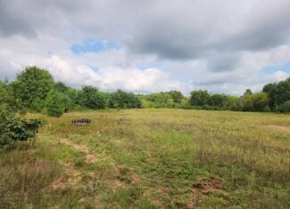 52 Acres of Trophy Whitetail Deer Hunting in Columbia County WI