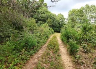 52 Acres of Trophy Whitetail Deer Hunting in Columbia County WI
