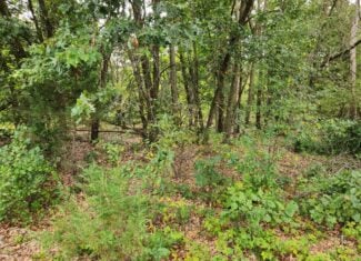 52 Acres of Trophy Whitetail Deer Hunting in Columbia County WI