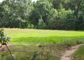 52 Acres of Trophy Whitetail Deer Hunting in Columbia County WI