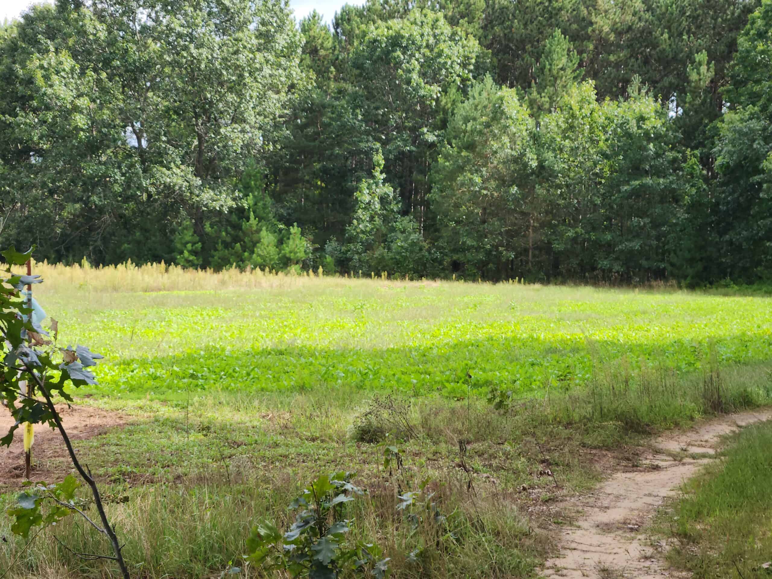52 Acres of Trophy Whitetail Deer Hunting in Columbia County WI
