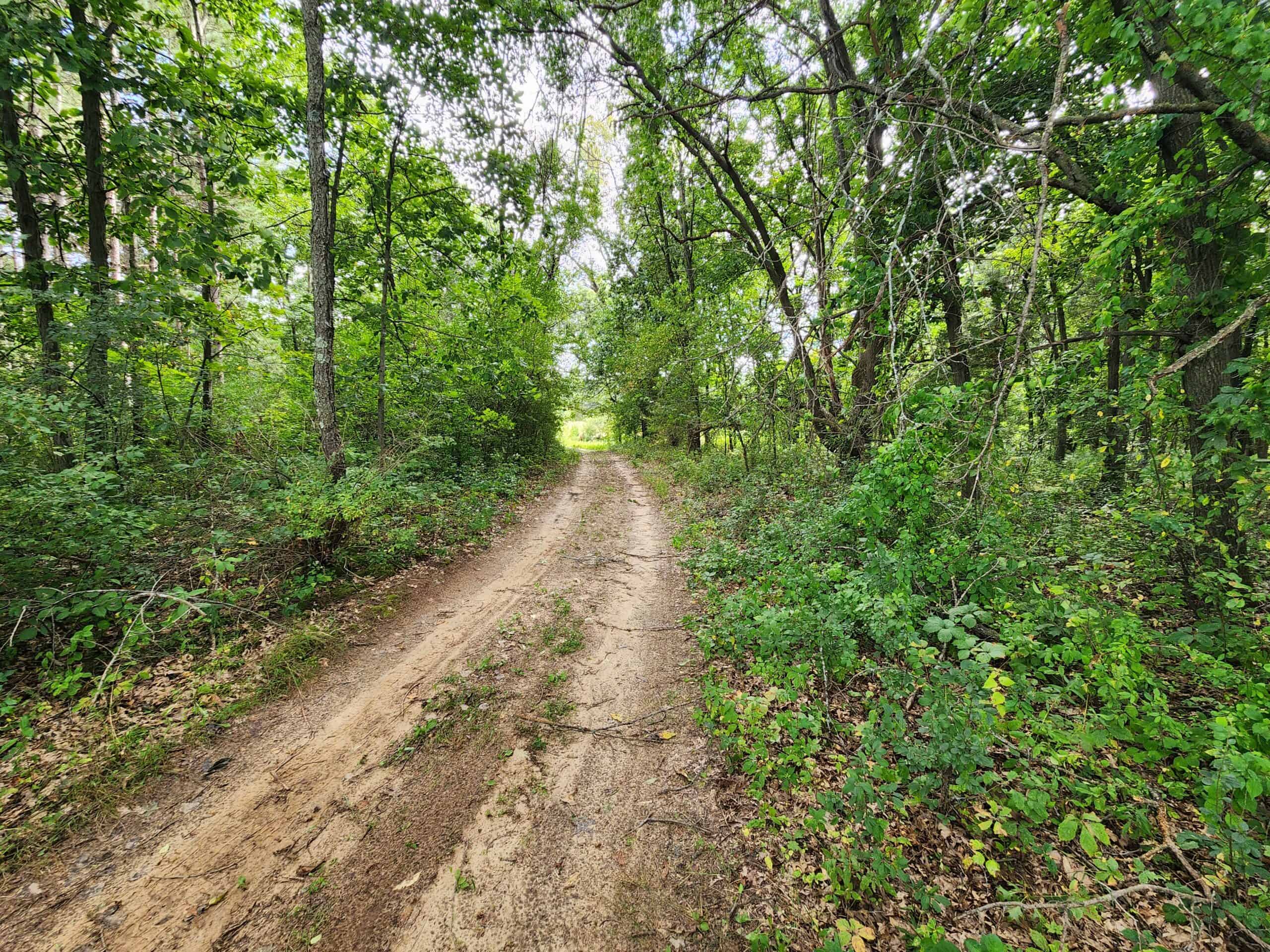 52 Acres of Trophy Whitetail Deer Hunting in Columbia County WI