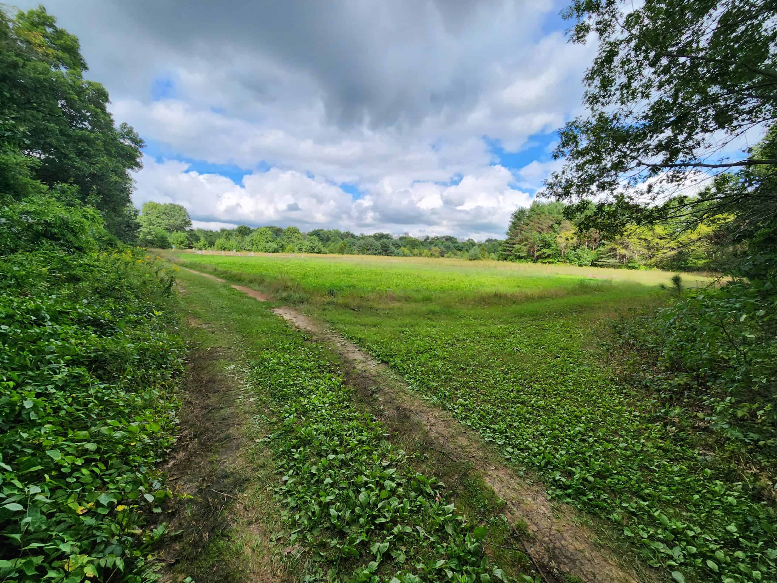 52 Acres of Trophy Whitetail Deer Hunting in Columbia County WI