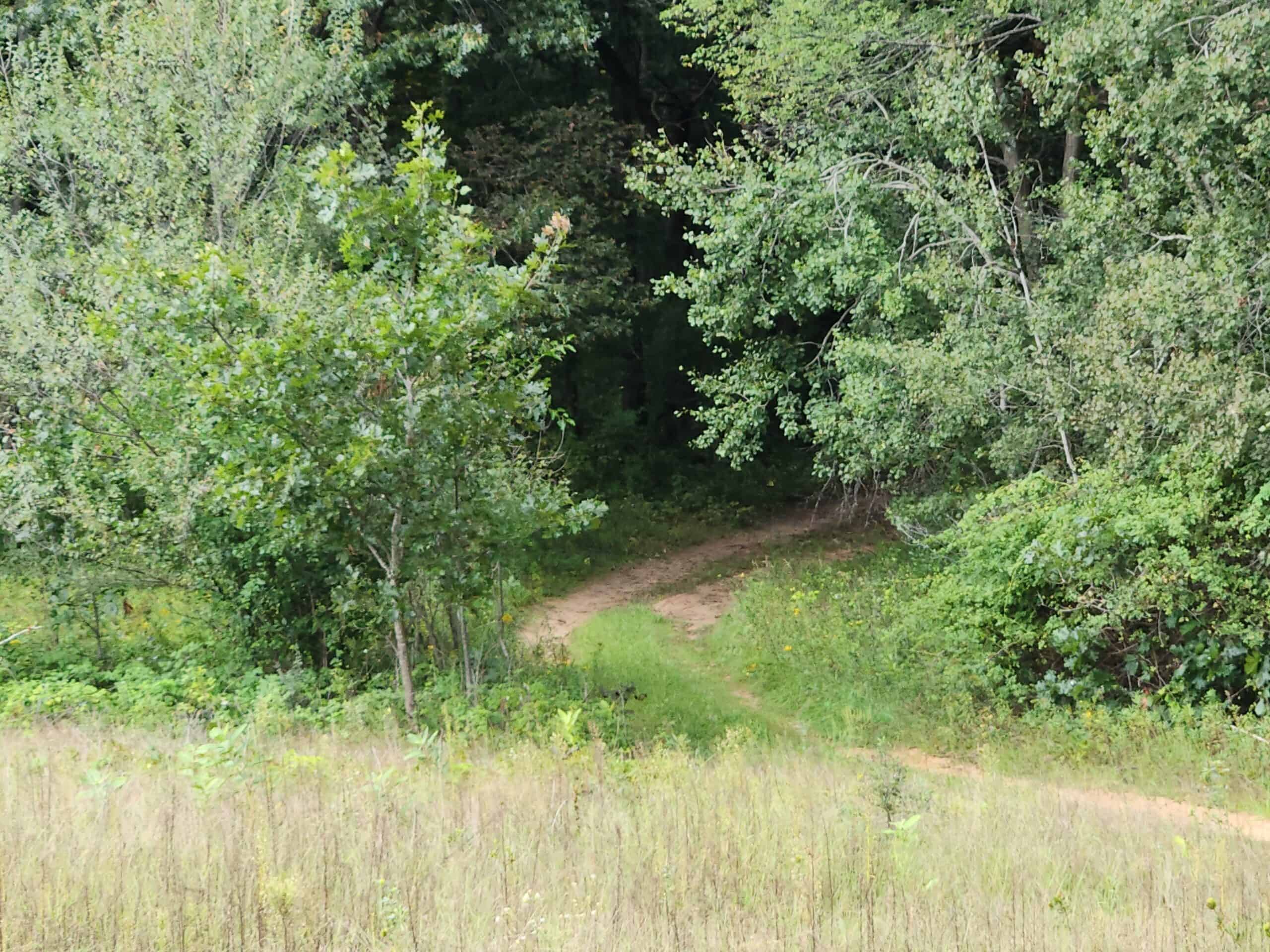 52 Acres of Trophy Whitetail Deer Hunting in Columbia County WI