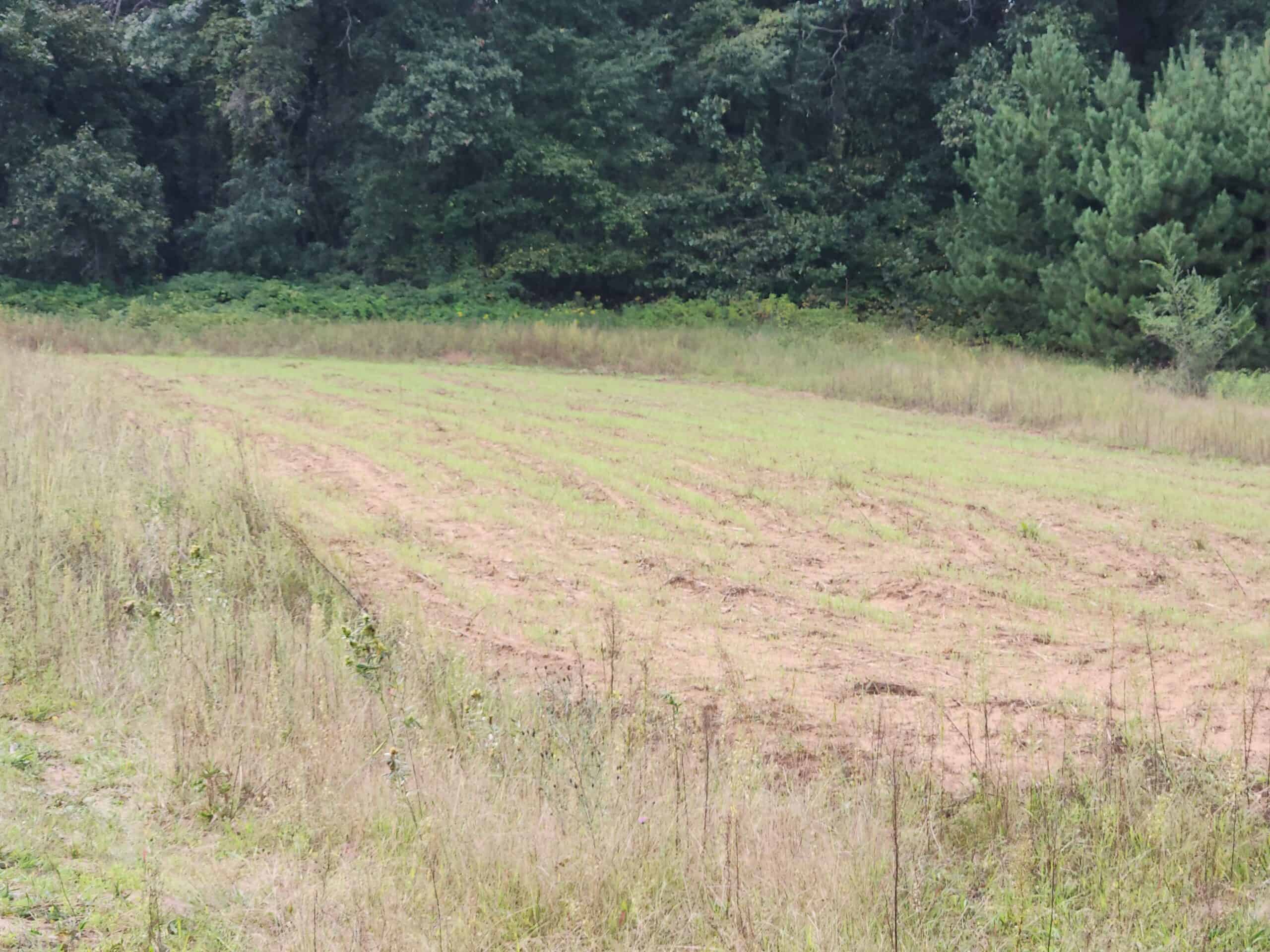 52 Acres of Trophy Whitetail Deer Hunting in Columbia County WI