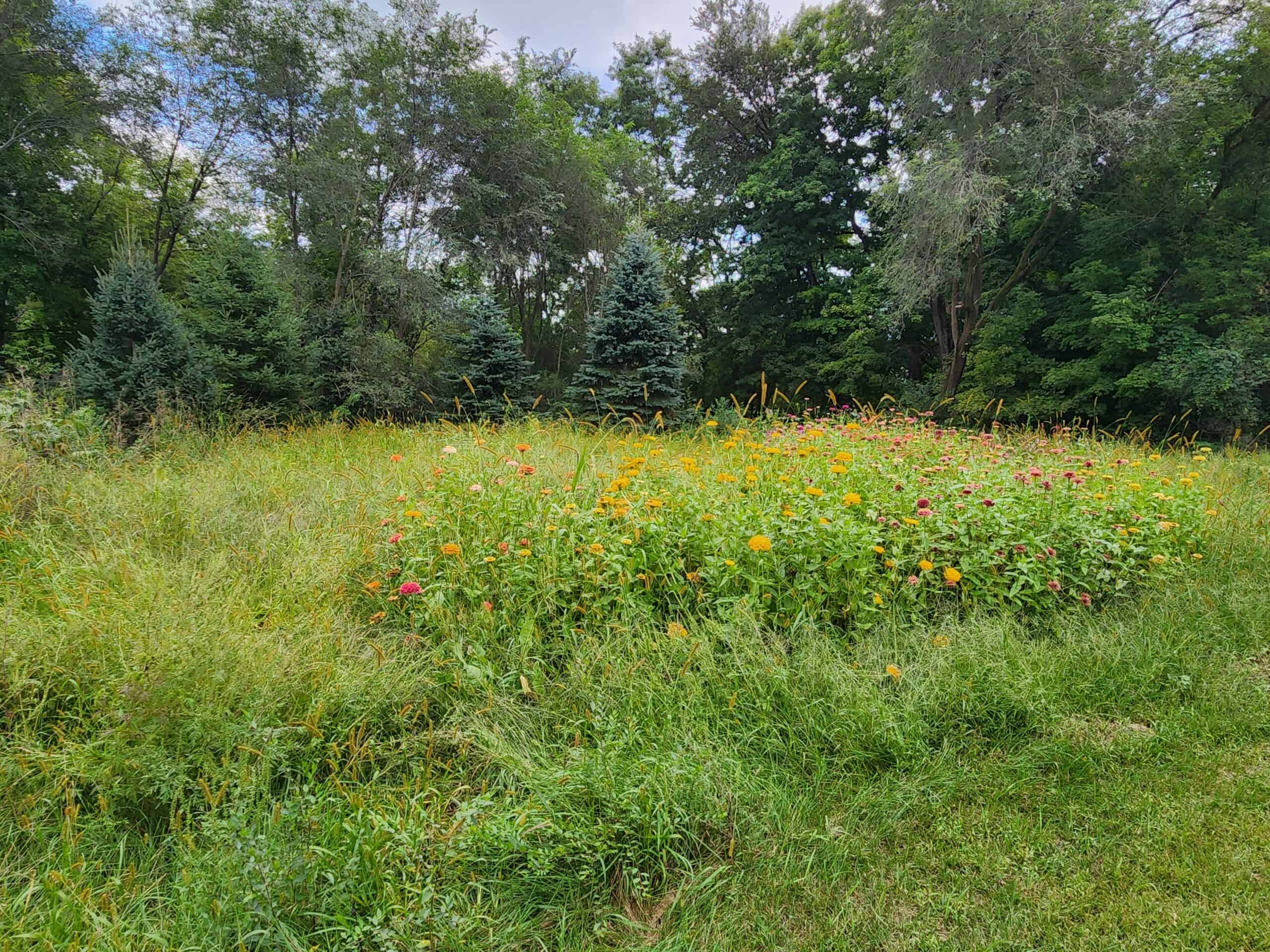 52 Acres of Trophy Whitetail Deer Hunting in Columbia County WI