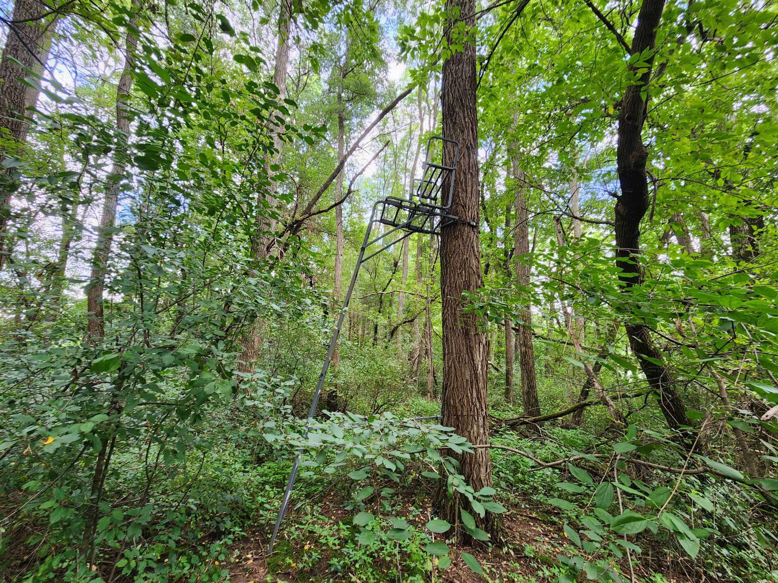 52 Acres of Trophy Whitetail Deer Hunting in Columbia County WI
