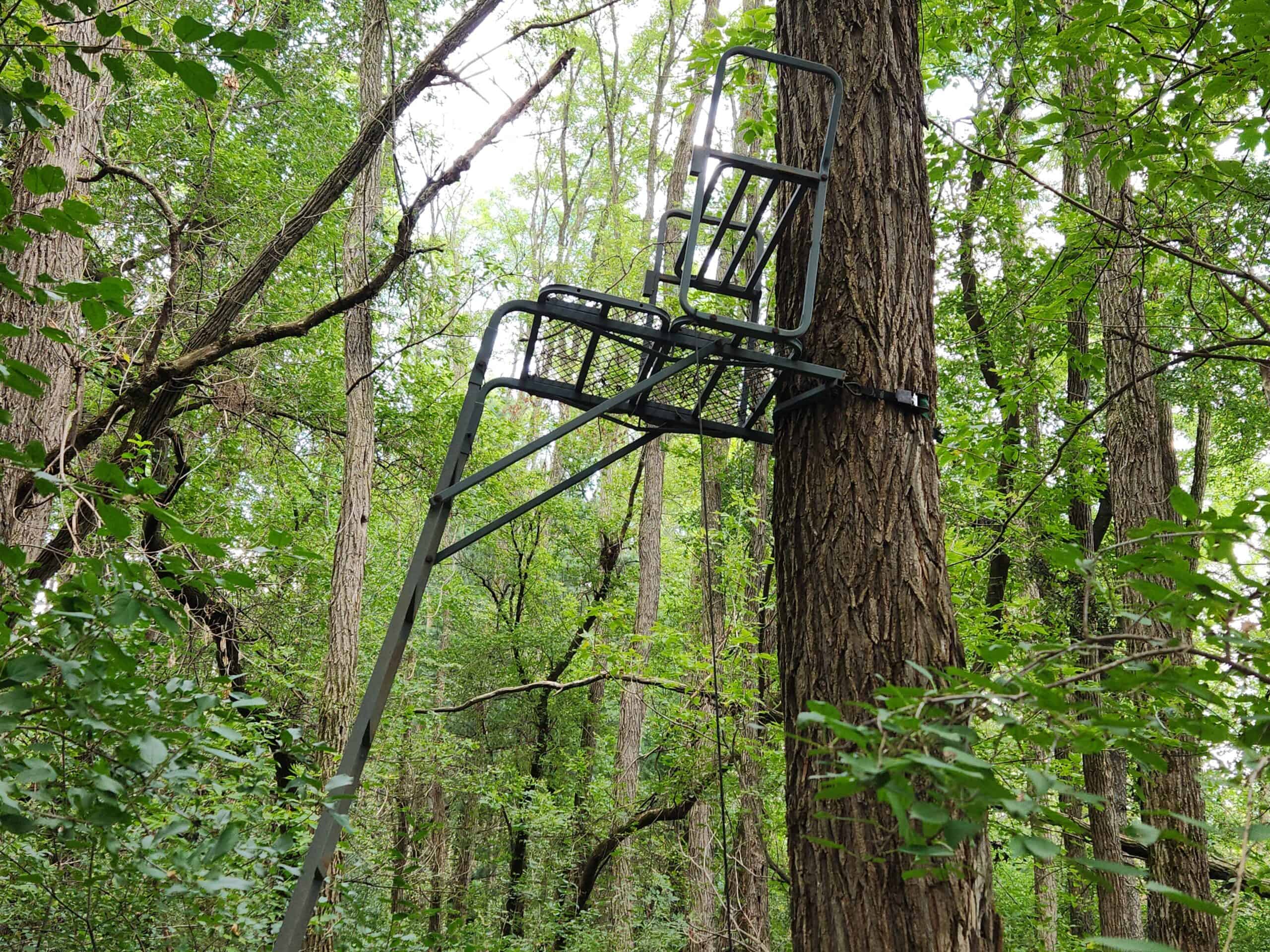 52 Acres of Trophy Whitetail Deer Hunting in Columbia County WI