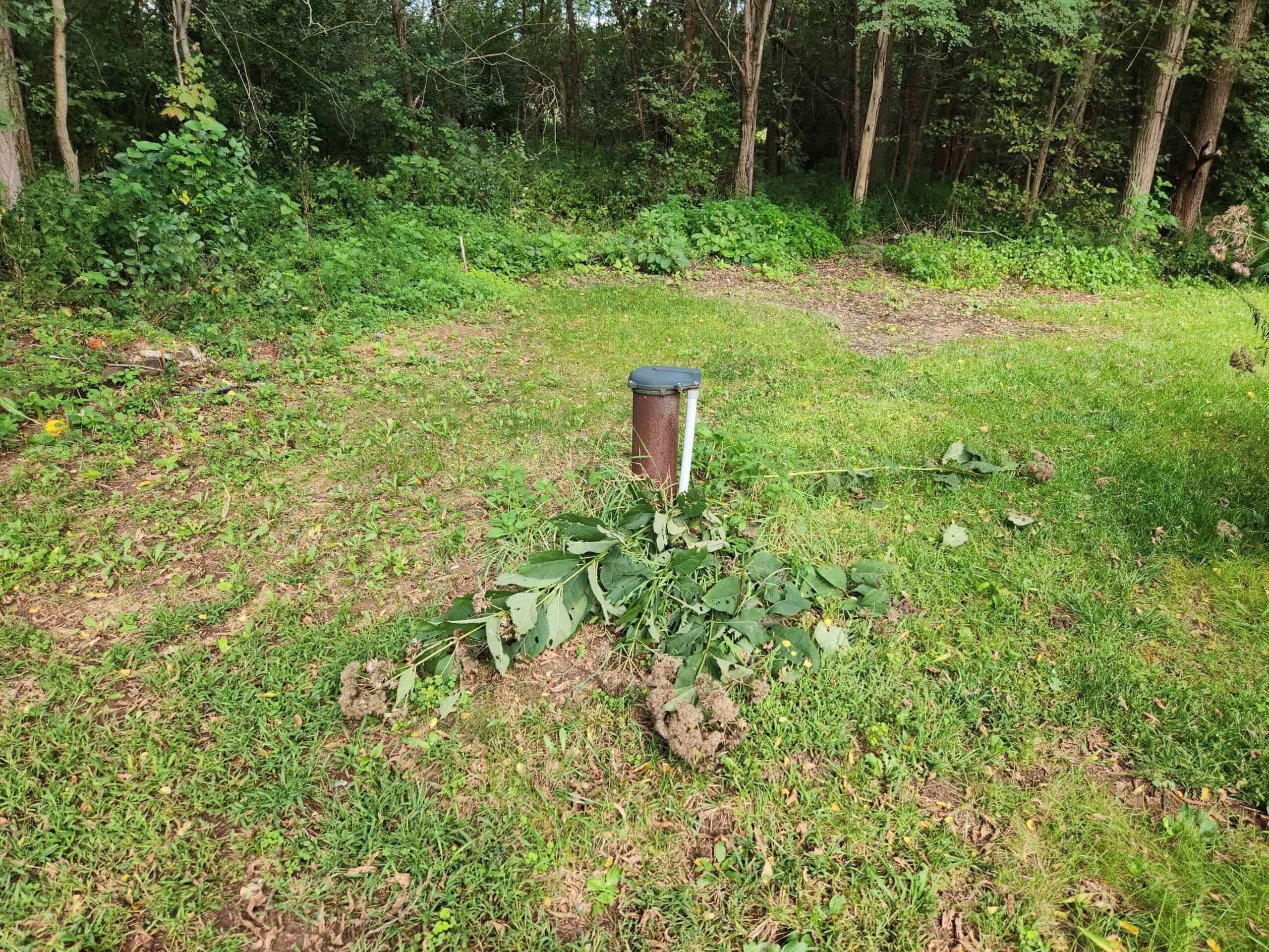 52 Acres of Trophy Whitetail Deer Hunting in Columbia County WI