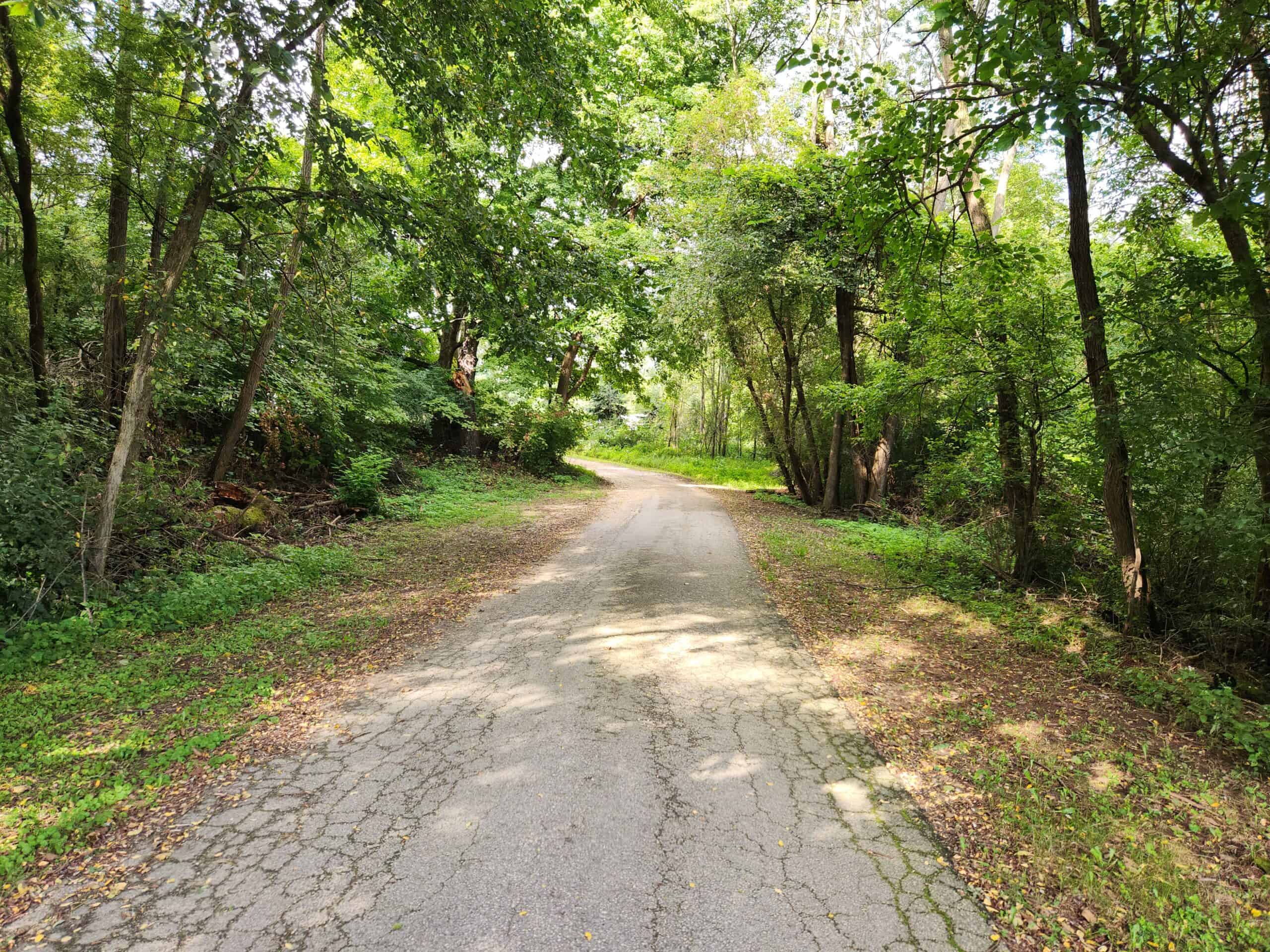 52 Acres of Trophy Whitetail Deer Hunting in Columbia County WI