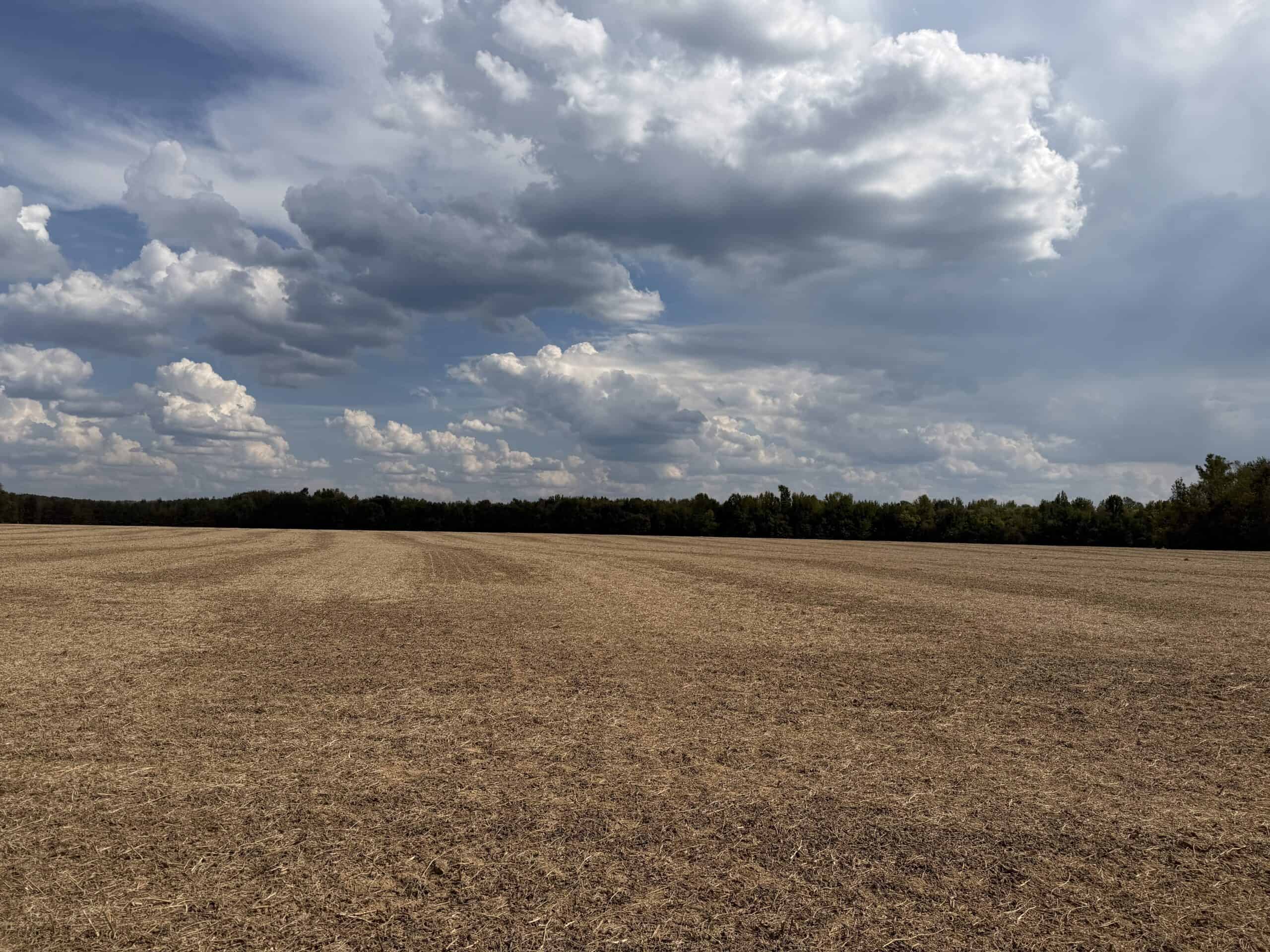 Farmland with great Deer and Turkey Hunting in Tennessee