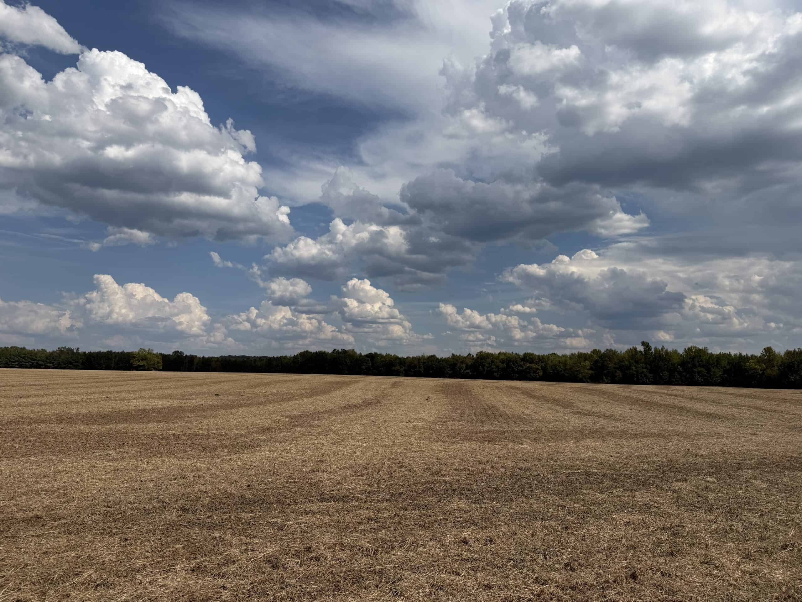 Farmland with great Deer and Turkey Hunting in Tennessee