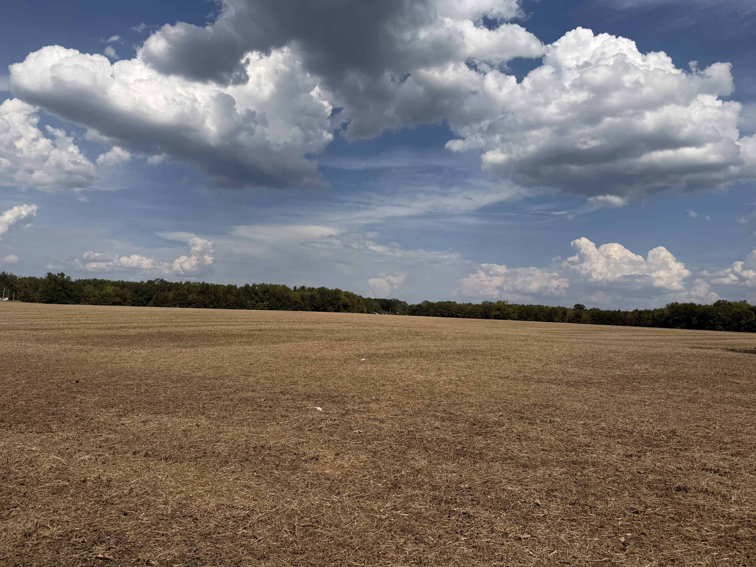 Farmland with great Deer and Turkey Hunting in Tennessee