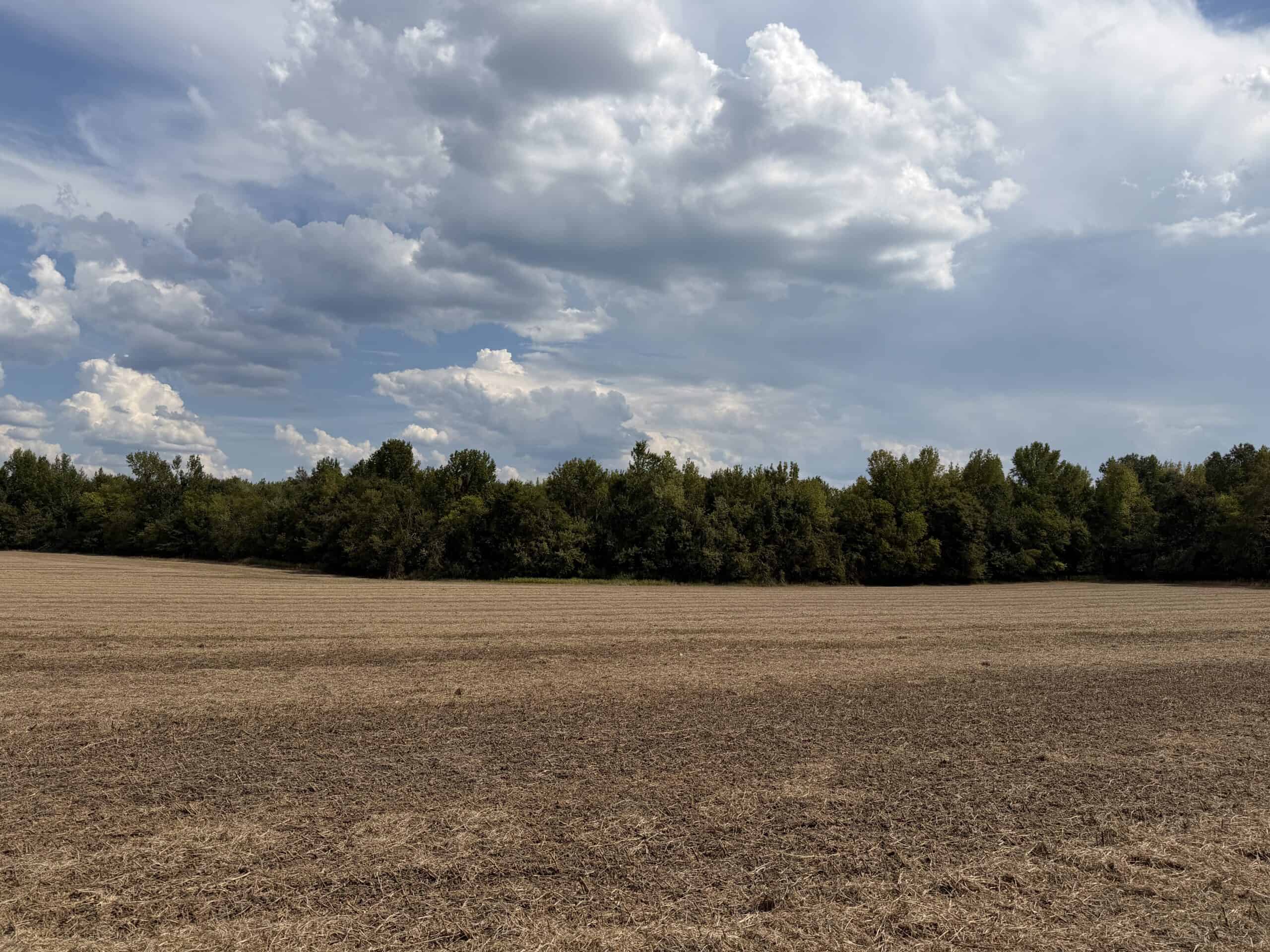 Farmland with great Deer and Turkey Hunting in Tennessee