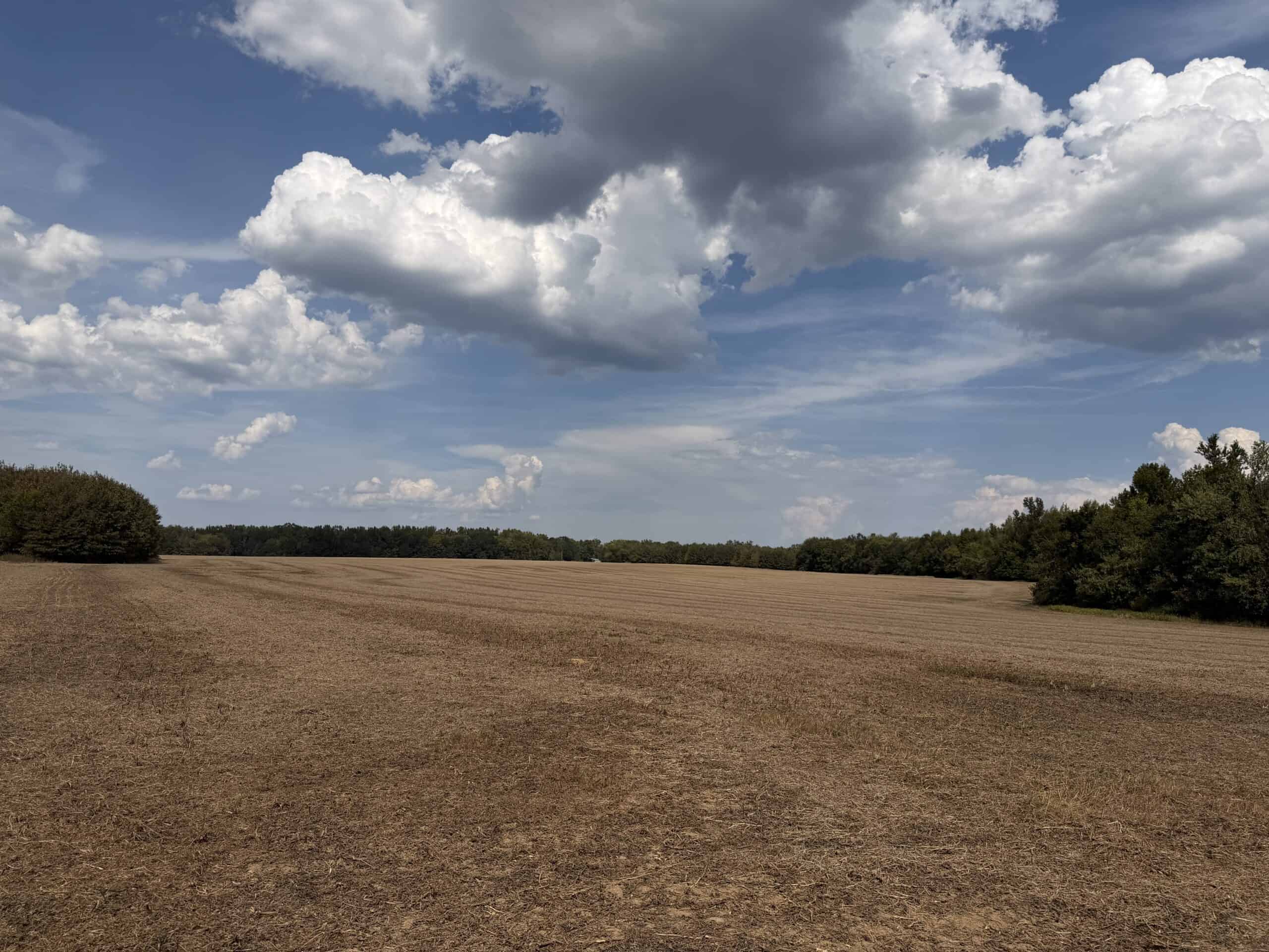 Farmland with great Deer and Turkey Hunting in Tennessee