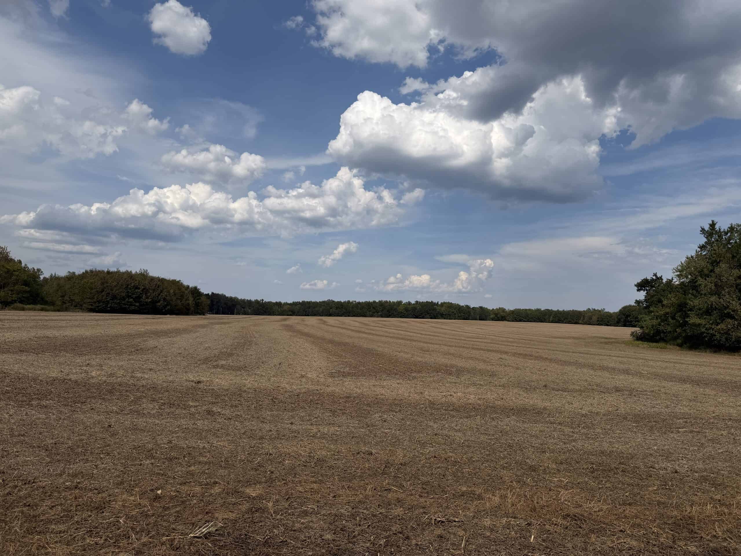Farmland with great Deer and Turkey Hunting in Tennessee