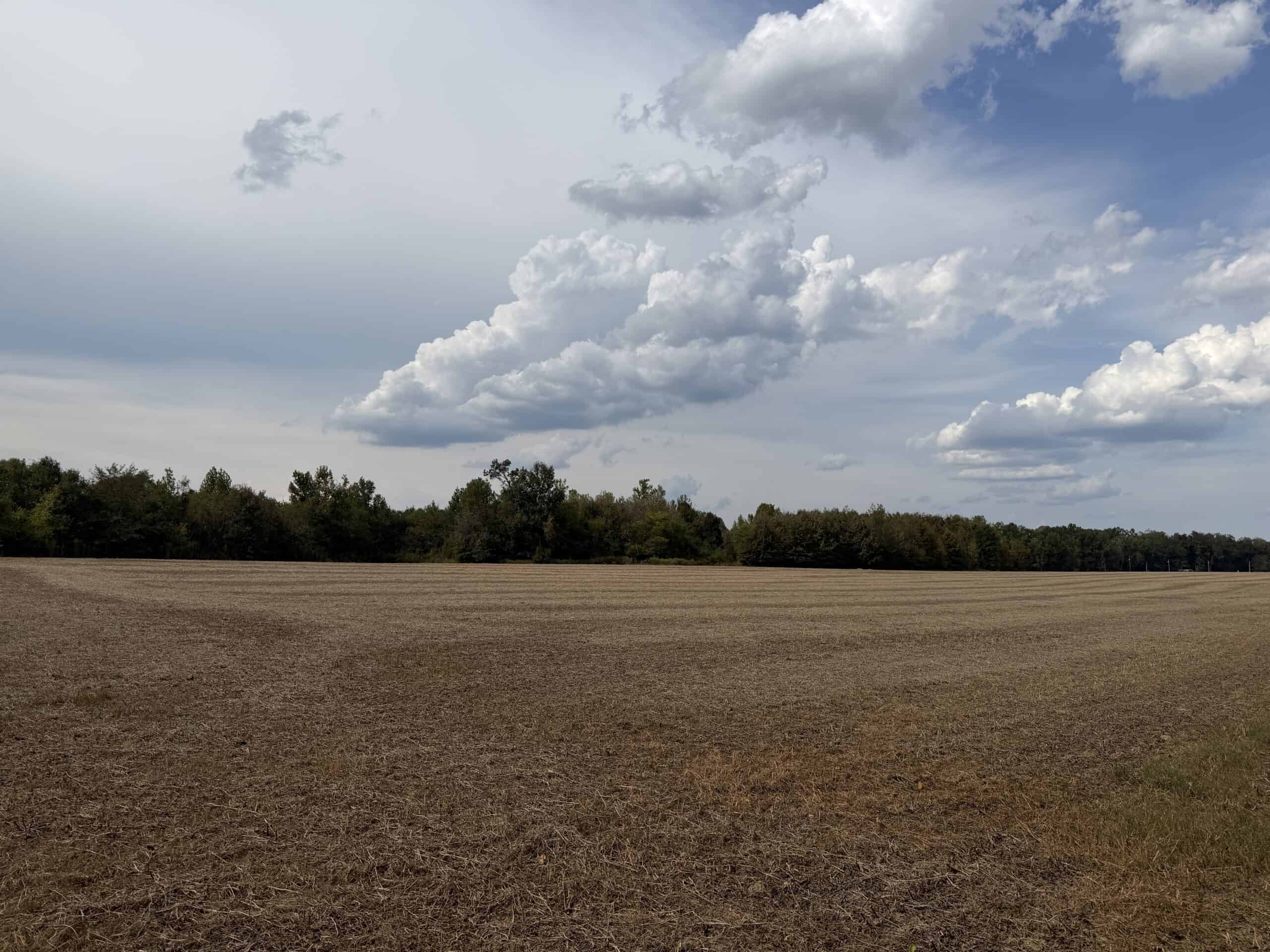 Farmland with great Deer and Turkey Hunting in Tennessee