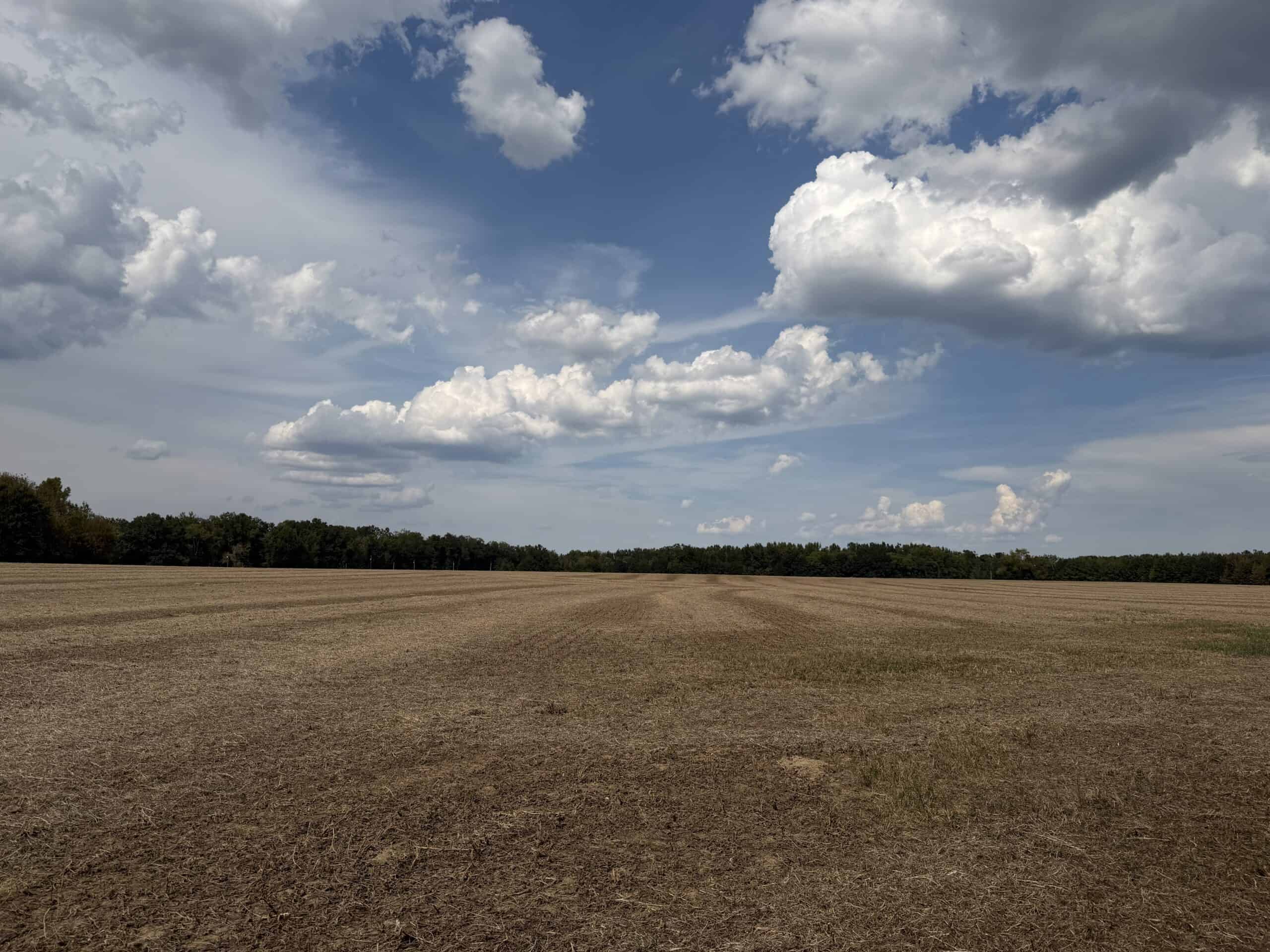 Farmland with great Deer and Turkey Hunting in Tennessee