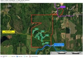Bear Creek Hunting Land in Tishomingo County, MS