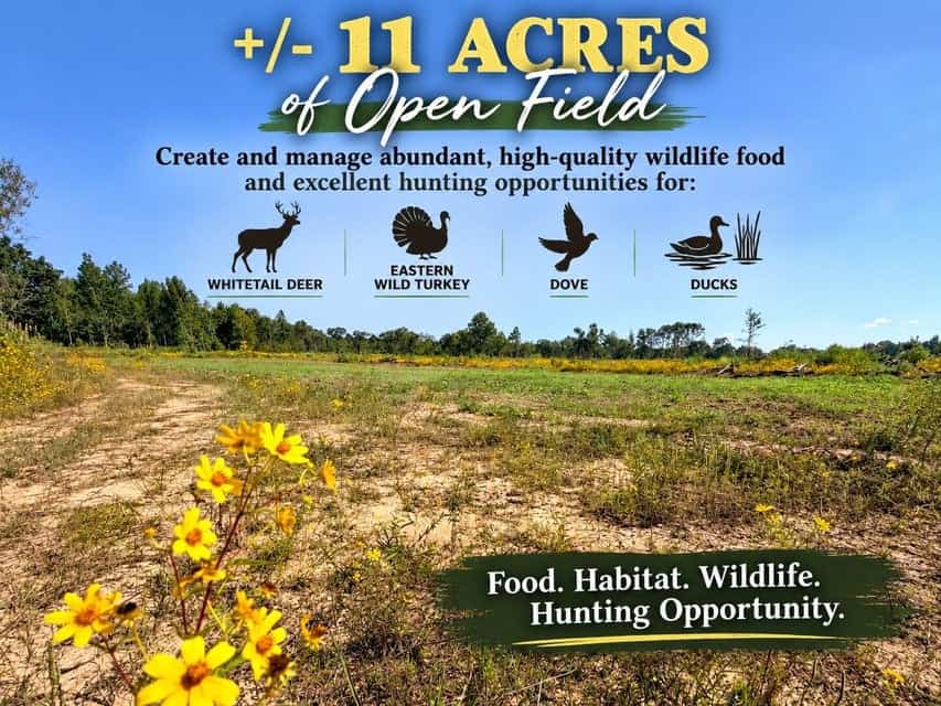 Bear Creek Hunting Land in Tishomingo County, MS