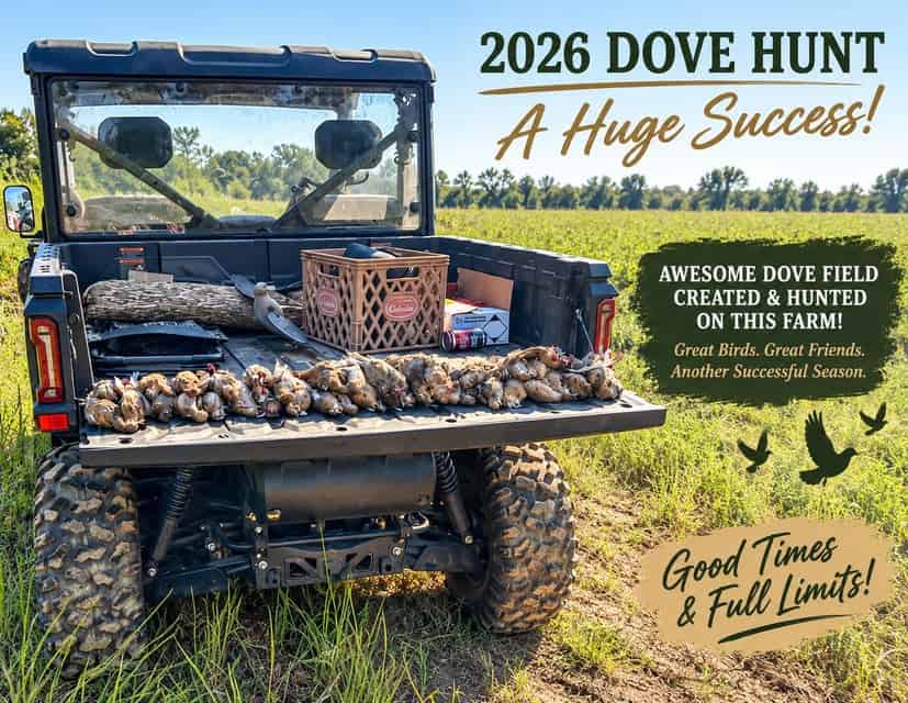 Bear Creek Hunting Land in Tishomingo County, MS