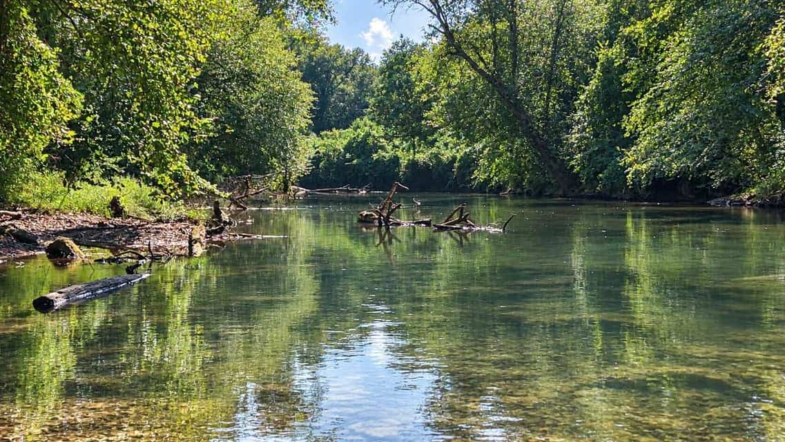 Bear Creek Hunting Land in Tishomingo County, MS