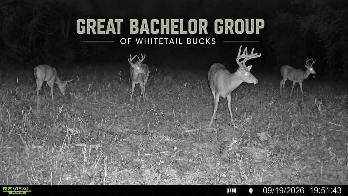 Bear Creek Hunting Land in Tishomingo County, MS