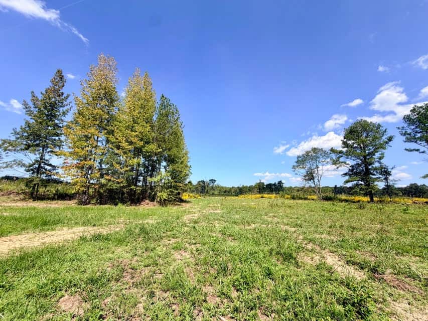 Bear Creek Hunting Land in Tishomingo County, MS
