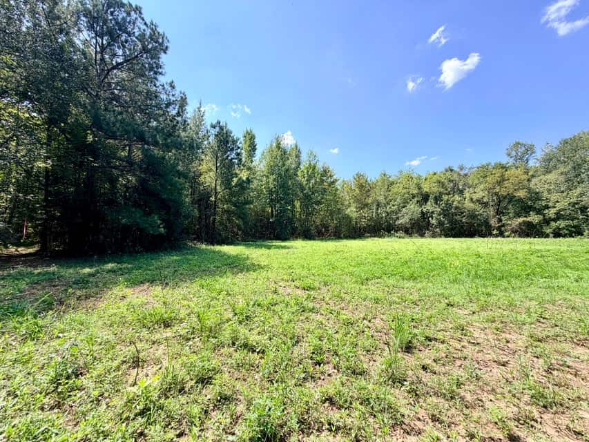 Bear Creek Hunting Land in Tishomingo County, MS