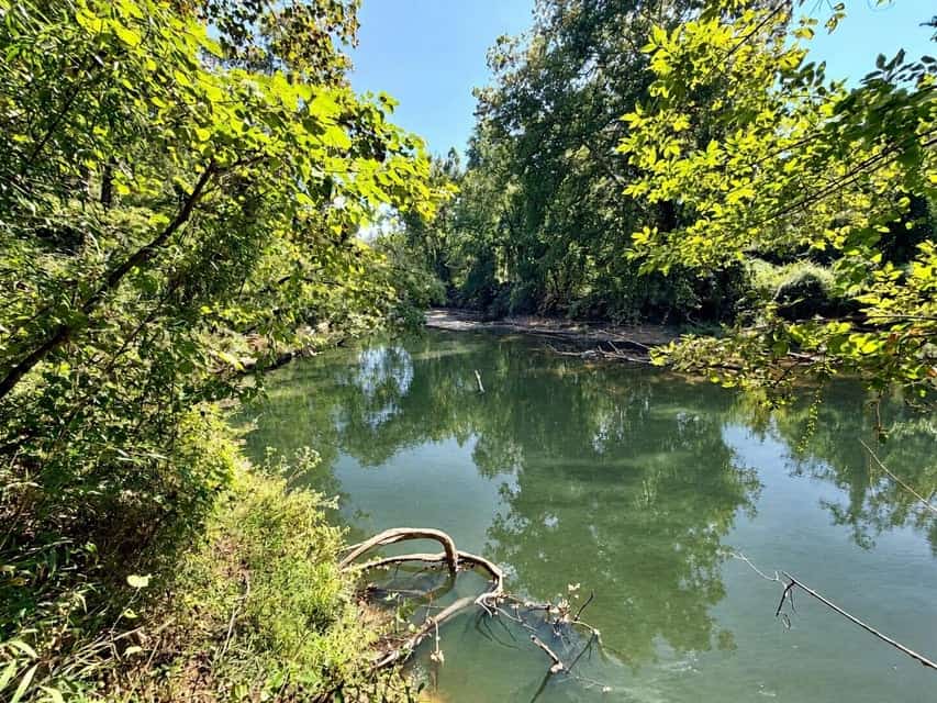 Bear Creek Hunting Land in Tishomingo County, MS