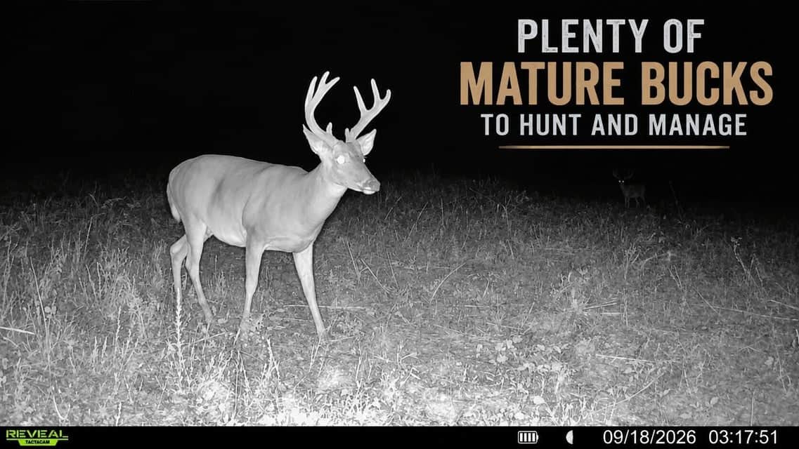 Bear Creek Hunting Land in Tishomingo County, MS