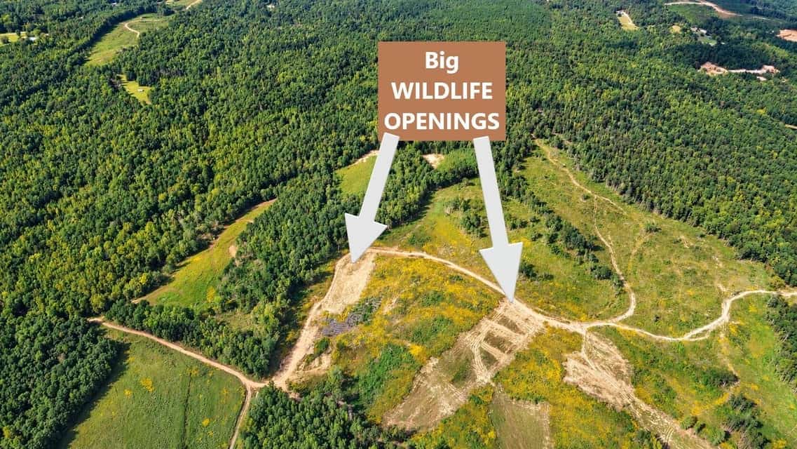 Bear Creek Hunting Land in Tishomingo County, MS
