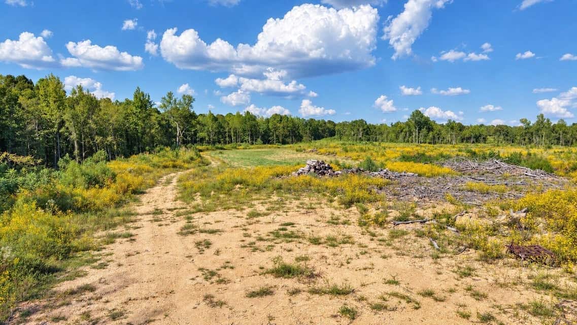 Bear Creek Hunting Land in Tishomingo County, MS