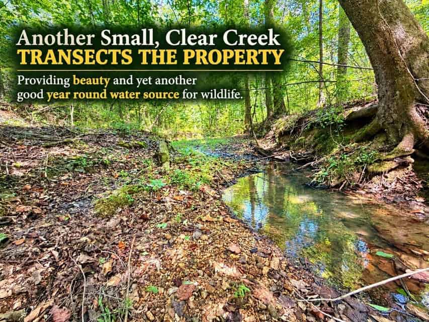 Bear Creek Hunting Land in Tishomingo County, MS