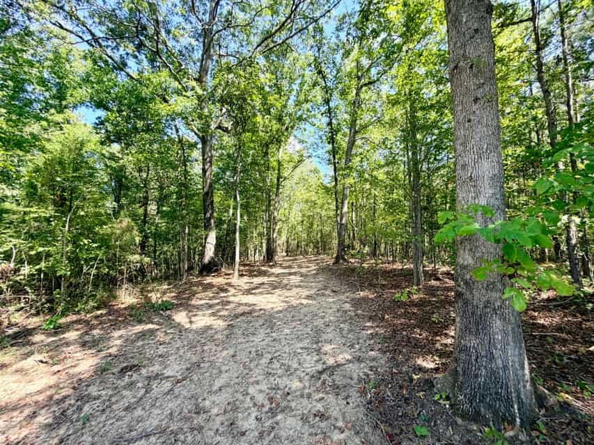 Bear Creek Hunting Land in Tishomingo County, MS