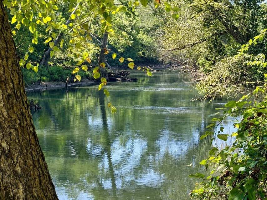Bear Creek Hunting Land in Tishomingo County, MS