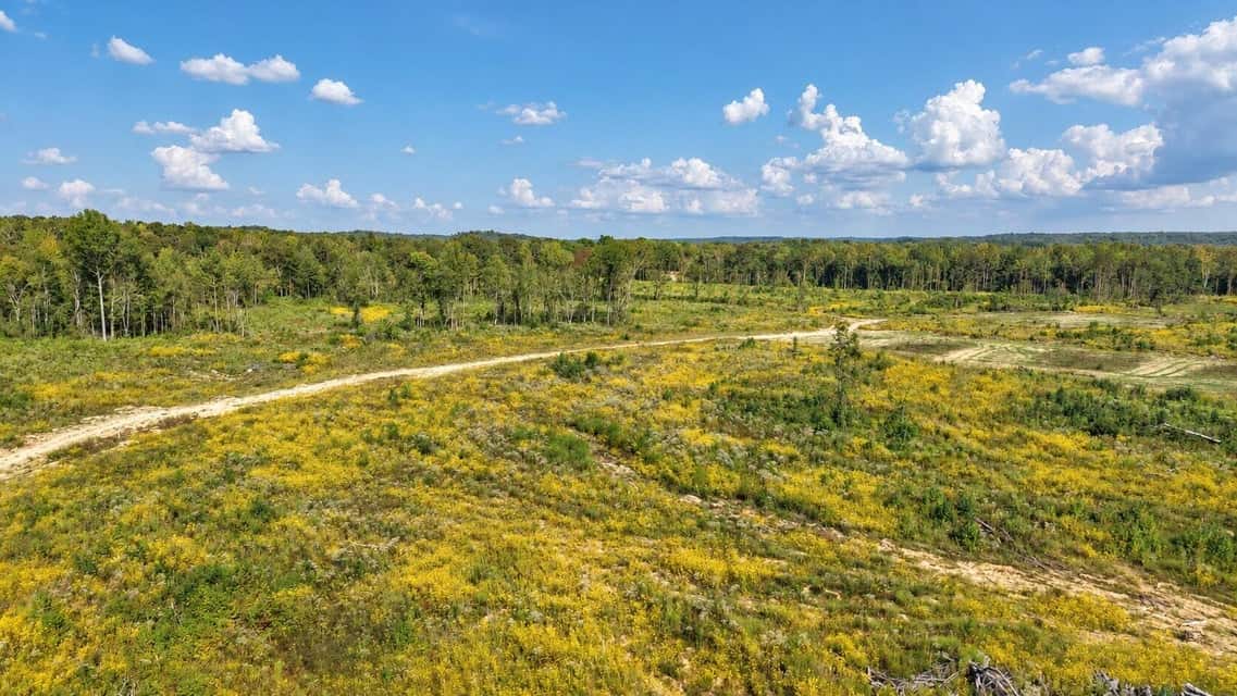 Bear Creek Hunting Land in Tishomingo County, MS