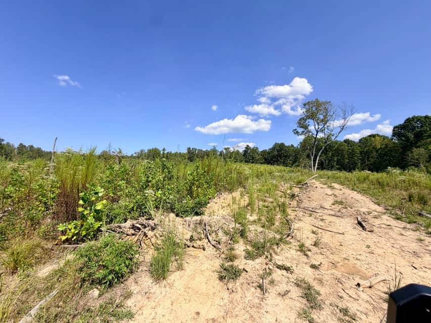Bear Creek Hunting Land in Tishomingo County, MS