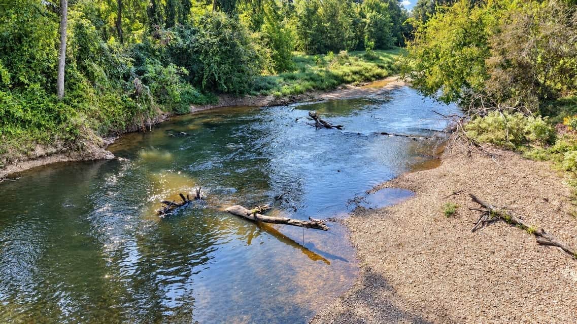Bear Creek Hunting Land in Tishomingo County, MS