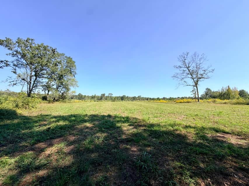 Bear Creek Hunting Land in Tishomingo County, MS