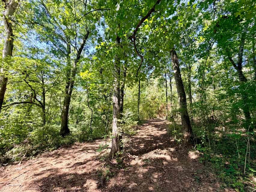 Bear Creek Hunting Land in Tishomingo County, MS
